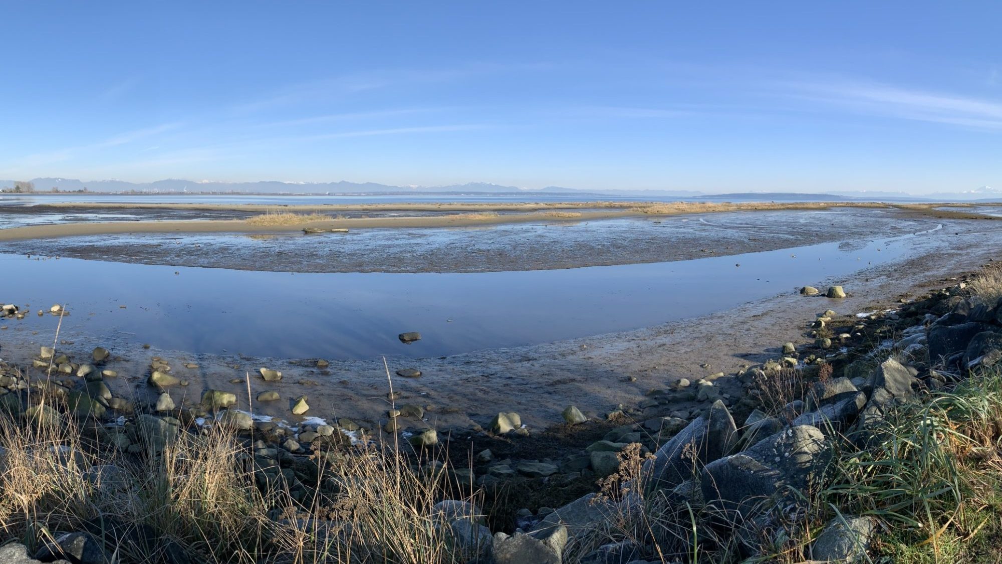The peaceful shoreline of Boundary Bay
